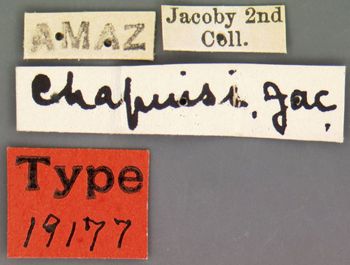 Media type: image; Entomology 19177   Aspect: labels